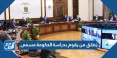 يُطلق من يقوم بدراسة الحكومة مسمى 2025 1 يُطلق من يقوم بدراسة الحكومة مسمى