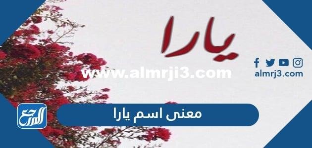 معنى اسم يارا بلغات نادرة وحكم التسمية به في الإسلام 2025 3 معنى اسم يارا