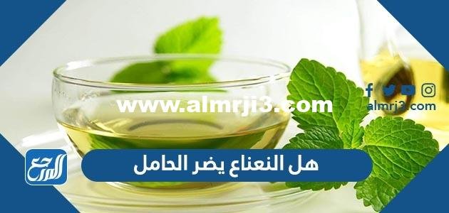 هل النعناع يضر الحامل - 2025 3 هل النعناع يضر الحامل