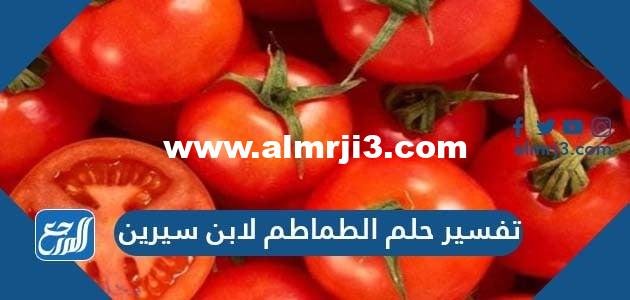 تفسير حلم الطماطم لابن سيرين للعزباء والمتزوجة والمطلقة 2025 2 تفسير حلم الطماطم لابن سيرين للعزباء والمتزوجة والمطلقة