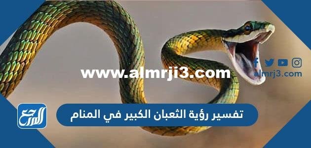 تفسير رؤية الثعبان الكبير في المنام لابن سيرين