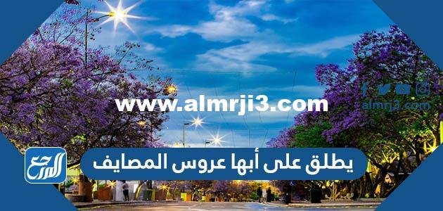 يطلق على أبها عروس المصايف 2025