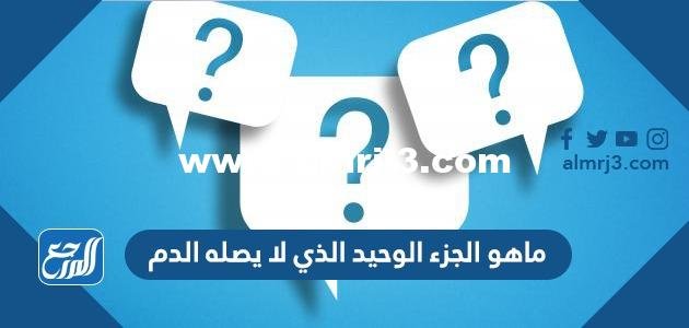 ماهو الجزء الوحيد الذي لا يصله الدم 2025