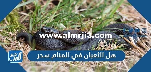 هل الثعبان في المنام سحر