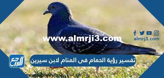 تفسير رؤية الحمام في المنام لابن سيرين