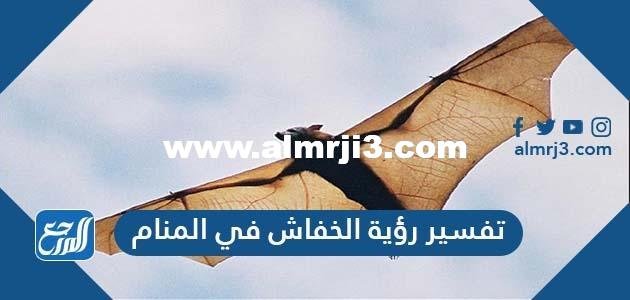 تفسير رؤية الخفاش في المنام لابن سيرين وابن شاهين والنابلسي والإمام الصادق 2025 1 تفسير رؤية الخفاش في المنام