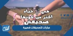 عبارات للصديقات قصيرة وعبارات جميلة عن الحب والصداقة 2025 1 عبارات للصديقات قصيرة وعبارات جميلة عن الحب والصداقة