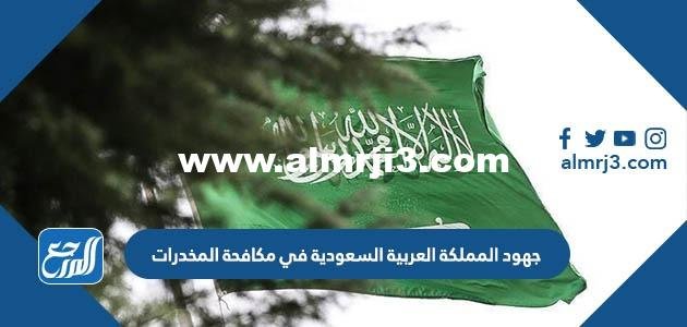 جهود المملكة العربية السعودية في مكافحة المخدرات 2025 2 جهود المملكة العربية السعودية في مكافحة المخدرات