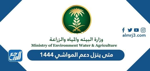 متى ينزل دعم المواشي 1446 موعد صرف إعانة مربي الماشية 2025 1 متى ينزل دعم المواشي 1444