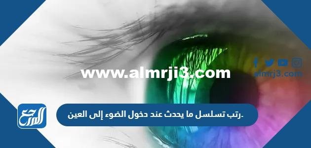 رتب تسلسل ما يحدث عند دخول الضوء إلى العين.