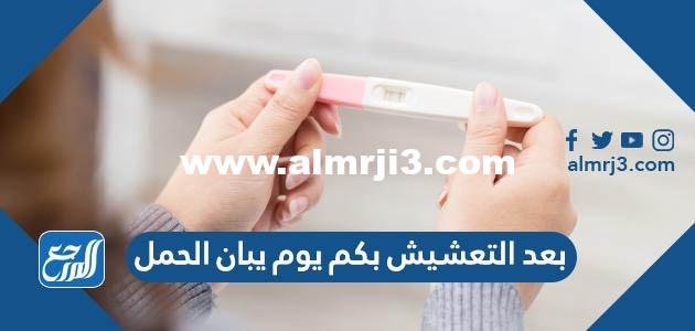 بعد التعشيش بكم يوم يبان الحمل