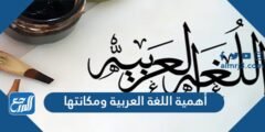 أهمية اللغة العربية ومكانتها - 2025 2 أهمية اللغة العربية ومكانتها - موقع المرجع