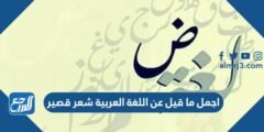 اجمل ما قيل عن اللغة العربية شعر قصير