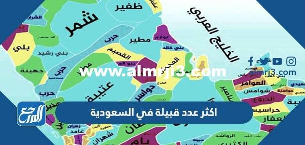 اكثر عدد قبيلة في السعودية 2025 2 اكثر عدد قبيلة في السعودية 2024