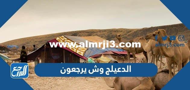 الدعيلج وش يرجعون ، أصل عائلة الدعيلج من أي قبيلة