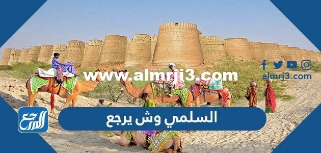 السلمي وش يرجع  ، أصل عائلة السلمي من وين