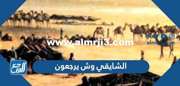 الشايقي وش يرجعون ، أصل عائلة الشايقي من وين