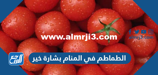 الطماطم في المنام بشارة خير للإمام الصادق وابن سيرين 2025 1 الطماطم في المنام بشارة خير للإمام الصادق وابن سيرين