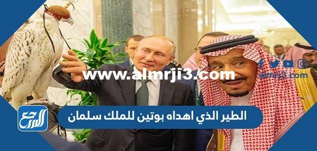 معلومات عن الطير الذي اهداه بوتين للملك سلمان 2025 1 معلومات عن الطير الذي اهداه بوتين للملك سلمان