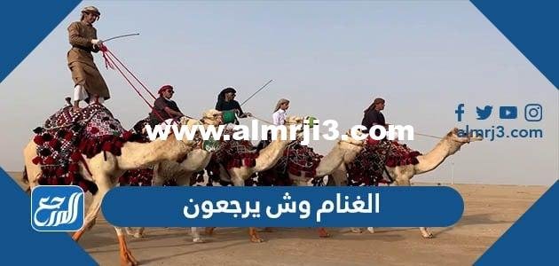 الغنام وش يرجعون ، أصل عائلة الغنام من وين 2025 1 الغنام وش يرجعون ، أصل عائلة الغنام من وين