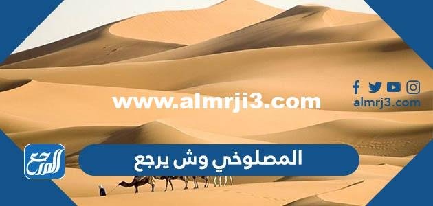 المصلوخي وش يرجع ، أصل عائلة المصلوخي من وين 2025 1 المصلوخي وش يرجع ، أصل عائلة المصلوخي من وين