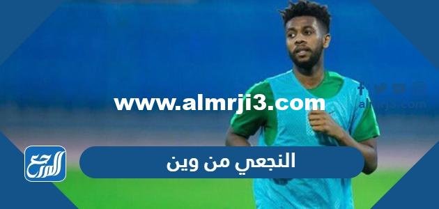 النجعي من وين ، النجعي من اي قبيلة 2025 2 النجعي من وين ، النجعي من اي قبيلة