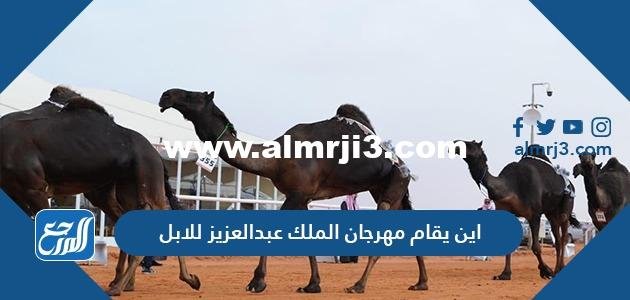 اين يقام مهرجان الملك عبدالعزيز للابل