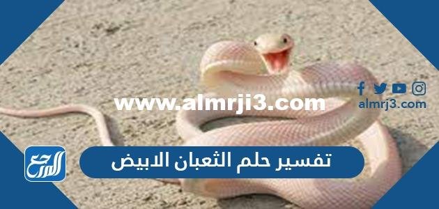 تفسير حلم الثعبان الابيض في المنام للنابلسي وابن شاهين 2025 3 تفسير حلم الثعبان الابيض في المنام للنابلسي وابن شاهين