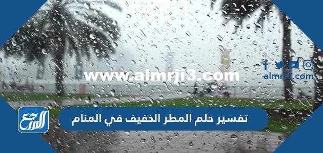 تفسير حلم المطر الخفيف في المنام لابن سيرين