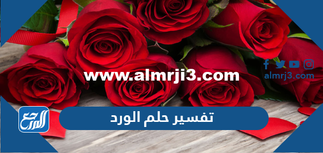 تفسير حلم الورد والزهور في المنام لابن سيرين والإمام صادق