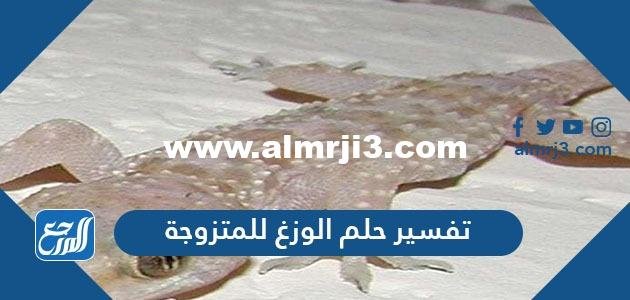 تفسير حلم الوزغ للمتزوجه في المنام لابن سيرين وابن شاهين 2025 1 تفسير حلم الوزغ للمتزوجه في المنام لابن سيرين وابن شاهين