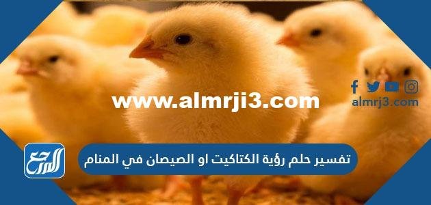 تفسير حلم رؤية الكتاكيت او الصيصان في المنام للعزباء والمتزوجة والحامل 2025 2 تفسير حلم رؤية الكتاكيت او الصيصان في المنام للعزباء والمتزوجة والحامل