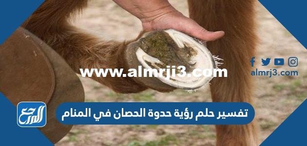 تفسير حلم رؤية حدوة الحصان في المنام 2025 2 تفسير حلم رؤية حدوة الحصان في المنام