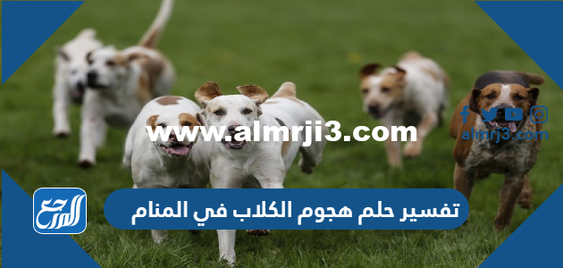 تفسير حلم هجوم الكلاب في المنام للعزباء والمتزوجة والحامل