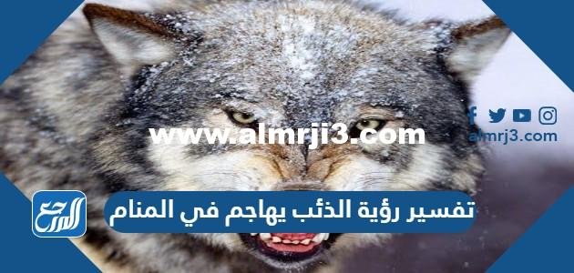 تفسير رؤية الذئب يهاجم في المنام لابن سيرين والنابلسي وابن شاهين 2025 3 تفسير رؤية الذئب يهاجم في المنام لابن سيرين والنابلسي وابن شاهين