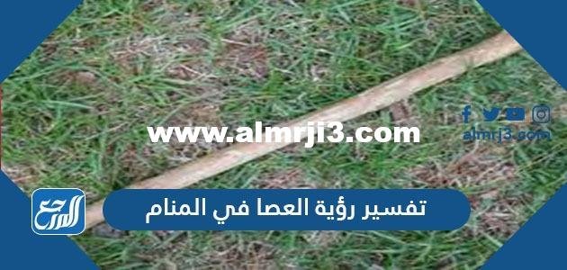 تفسير رؤية العصا في المنام للعزباء والمتزوجة والحامل بالتفصيل