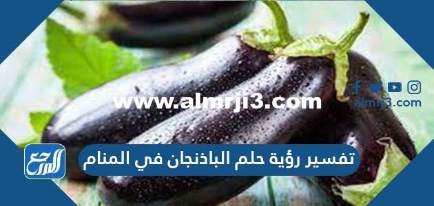 تفسير رؤية حلم الباذنجان في المنام بالتفصيل للمتزوجة والعزباء 2025