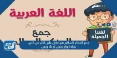 جمع المذكر السالم هو مادل على أكثر من اثنين بزيادة واو ونون أو ياء ونون 2025 3 جمع المذكر السالم هو مادل على أكثر من اثنين بزيادة واو ونون أو ياء ونون