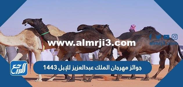 جوائز مهرجان الملك عبدالعزيز للإبل 1446 2025 1 جوائز مهرجان الملك عبدالعزيز للإبل 1443