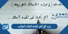 رب اخ لم تلده امك اعراب 2025 3 رب اخ لم تلده امك اعراب