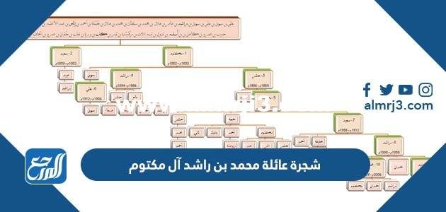 شجرة عائلة محمد بن راشد آل مكتوم بالتفصيل 2025 1 شجرة عائلة محمد بن راشد آل مكتوم بالتفصيل