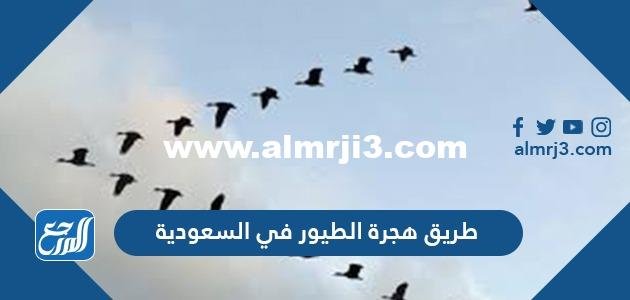 طريق هجرة الطيور في السعودية 2025 2 طريق هجرة الطيور في السعودية