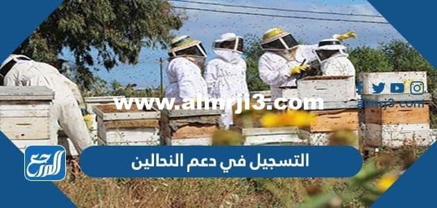 طريقة التسجيل في دعم النحالين 1446 طلب تمويل الدعم المتنقل 2025 3 طريقة التسجيل في دعم النحالين 1443 طلب تمويل الدعم المتنقل
