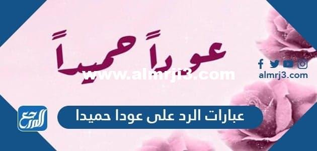 عبارات الرد على عودا حميدا 2025 1 عبارات الرد على عودا حميدا