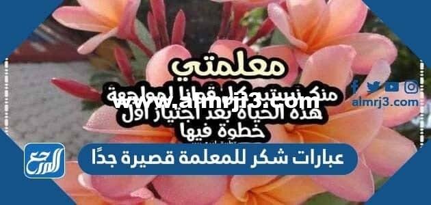 عبارات شكر للمعلمة قصيرة جدًا 2024