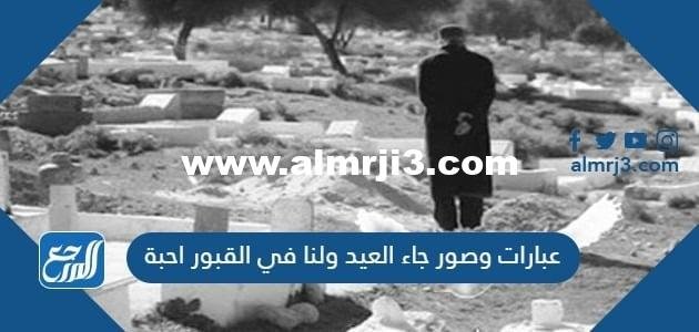 عبارات وصور جاء العيد ولنا في القبور احبة