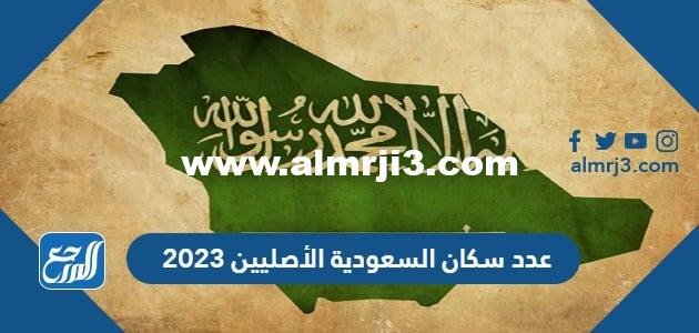 كم عدد سكان السعودية الأصليين 2025 3 كم عدد سكان السعودية الأصليين 2024