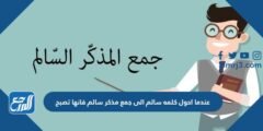 عندما احول كلمه سالم الى جمع مذكر سالم فانها تصبح