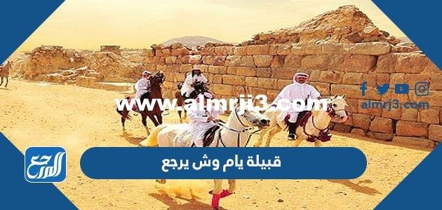 قبيلة يام وش يرجع - محتوي حصري 2025 2 قبيلة يام وش يرجع - موقع المرجع