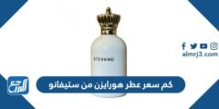 كم سعر عطر هورايزن من ستيفانو